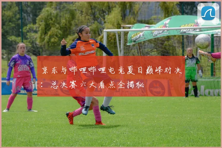 京东与哔哩哔哩电竞夏日巅峰对决：总决赛六大看点全揭秘