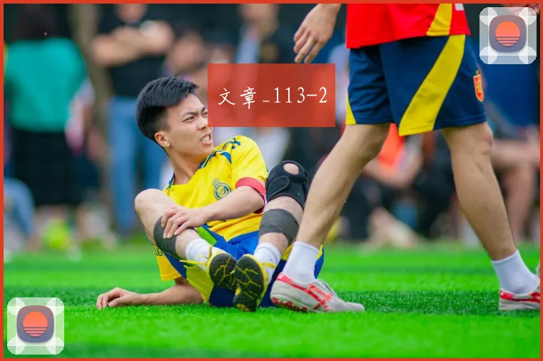文章_113